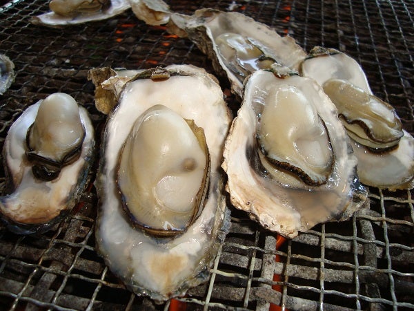 糸島牡蠣焼きとおいしいものめぐり 日帰りバスツアー🚌1